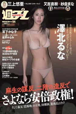 流光引在线观看电视剧全集